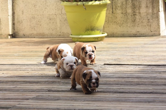 Nouvelles de nos bébés